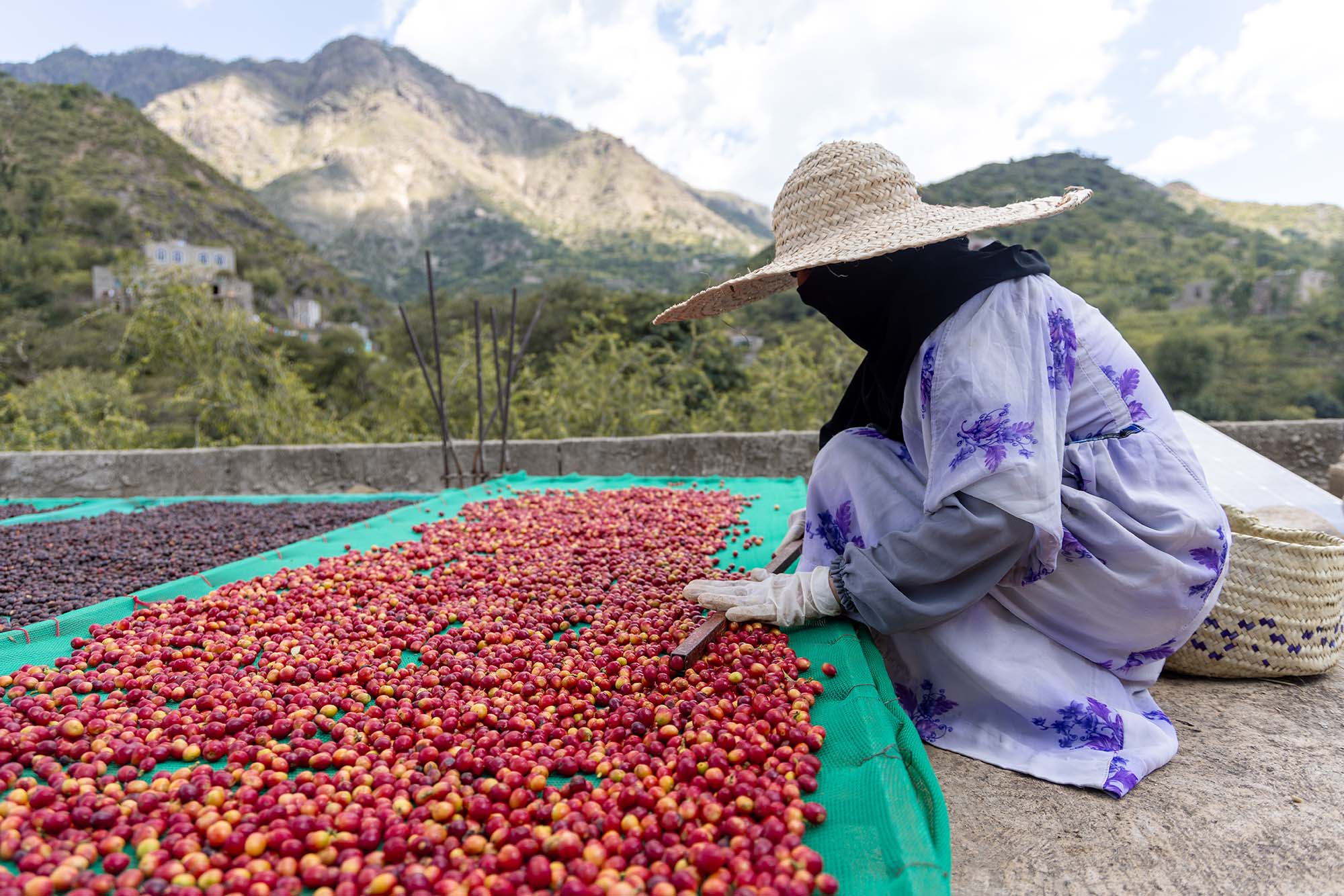 A woman drying coffee cherries on a rooftop in Yemen.