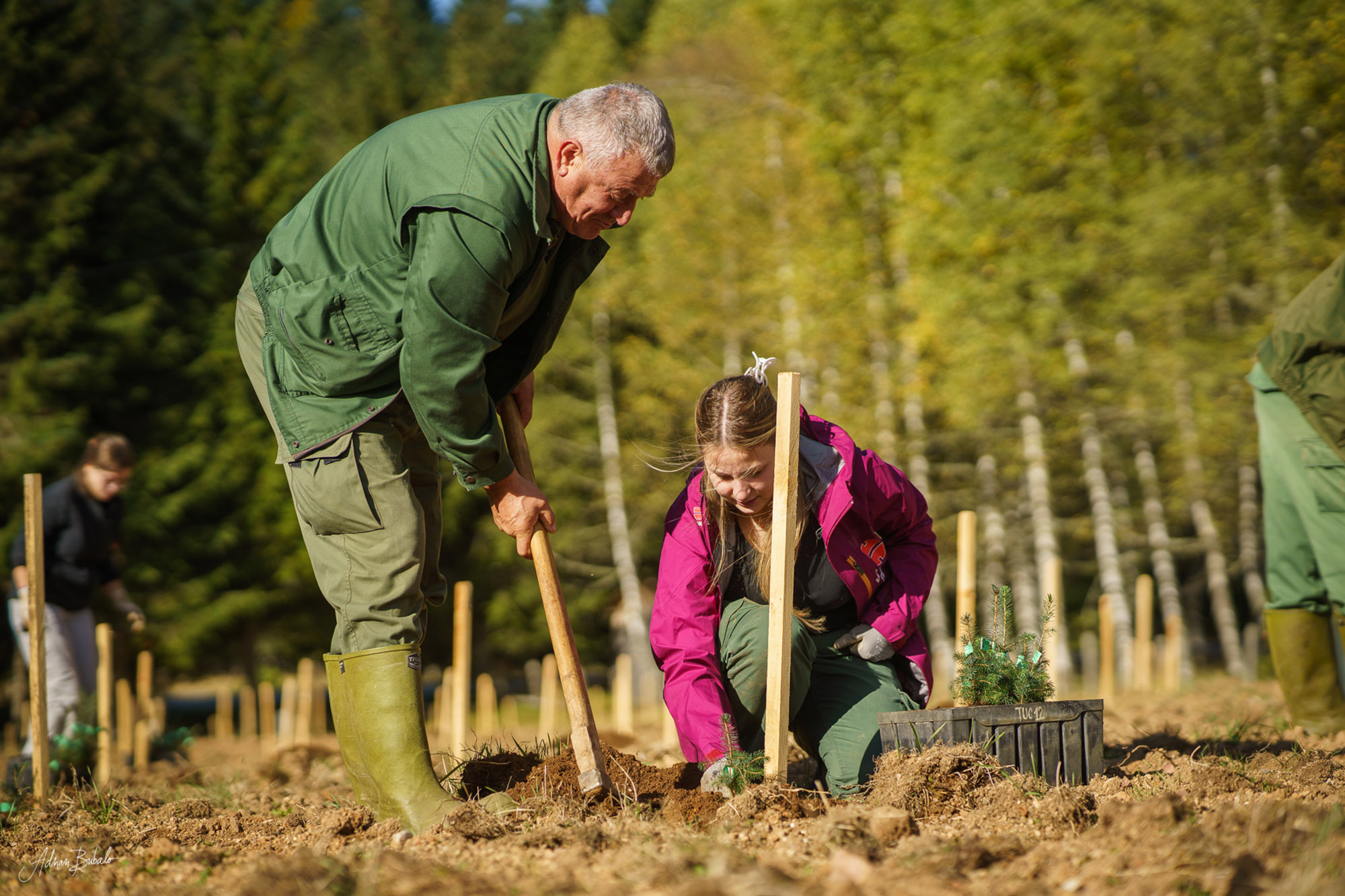 A forester and a student from the Faculty of Forestry planting a tree. 