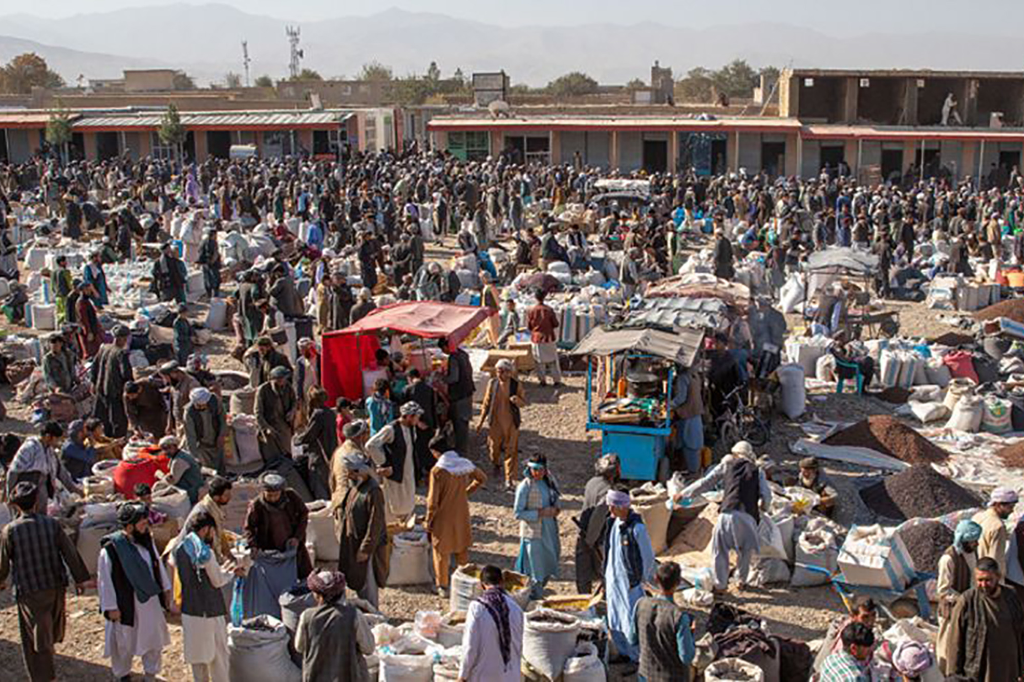 A large crowd shopping at a flea market.