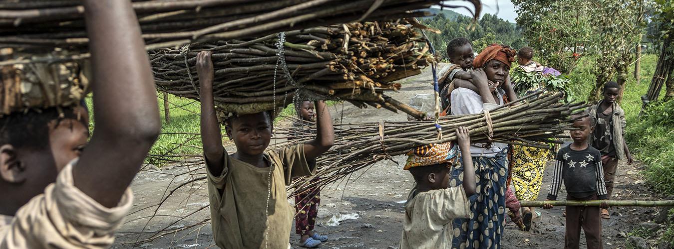 Displaced children carry bundles of sticks along the road in the Democratic Republic of Congo. 