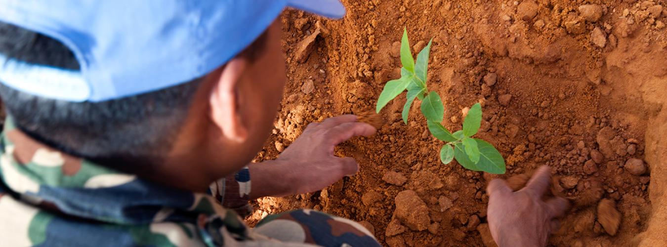 A peacekeeper tends to plant in the soil