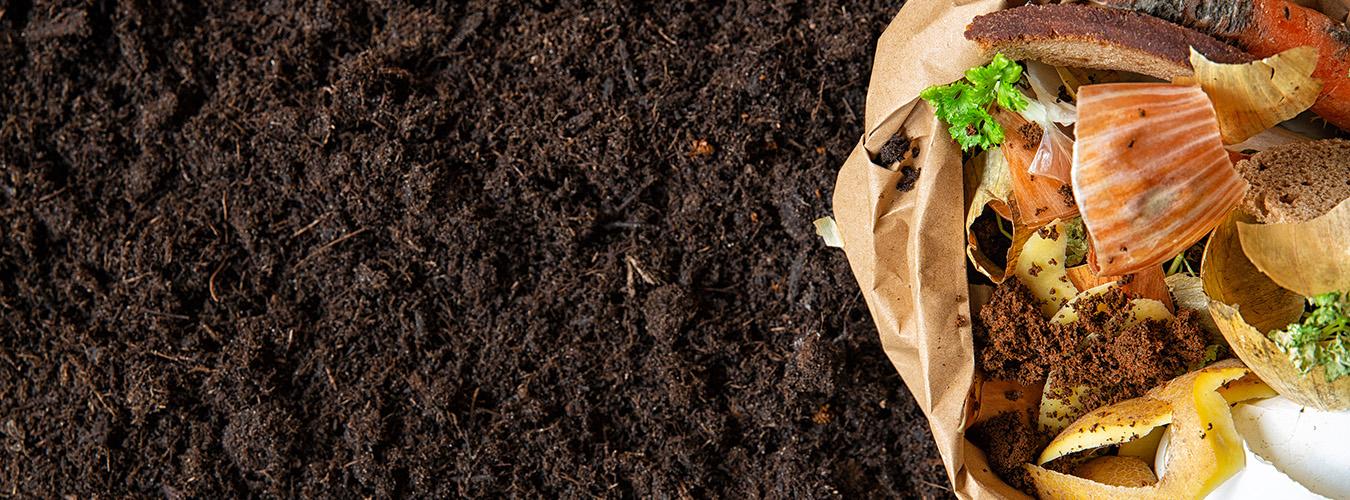 Food waste in a recycle trash bag next to a soil