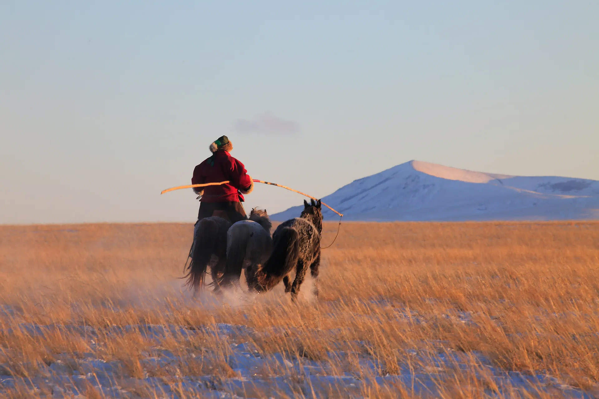 man riding a horse and leading two others