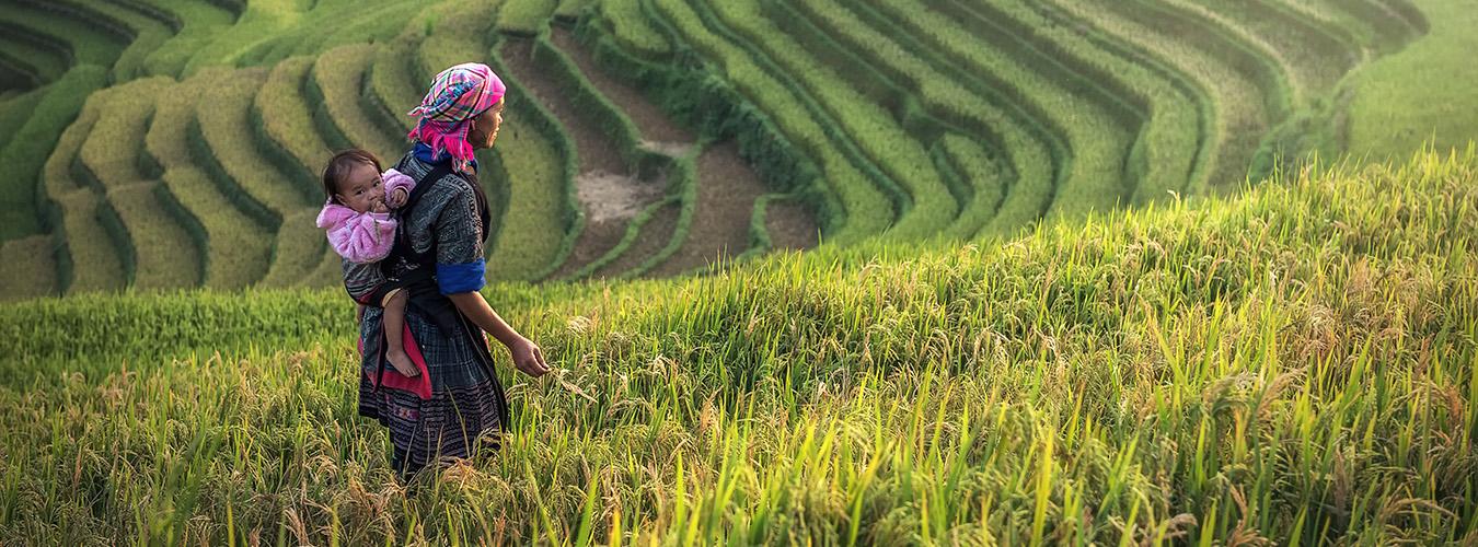 Rural female farmer with her baby on her back while walking in a rice terrace