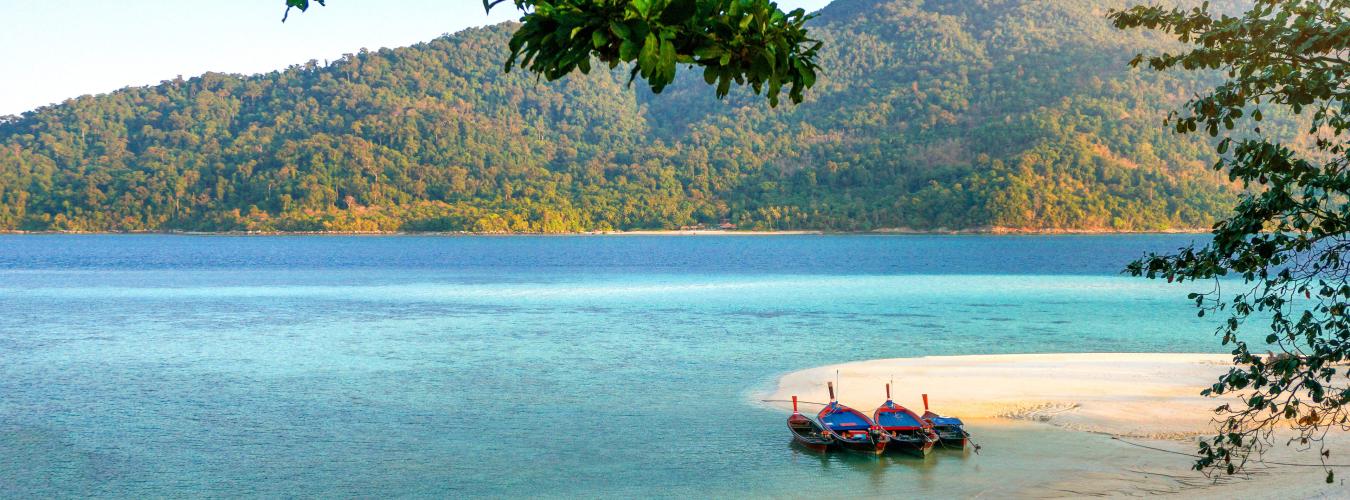 Boats on the shore
