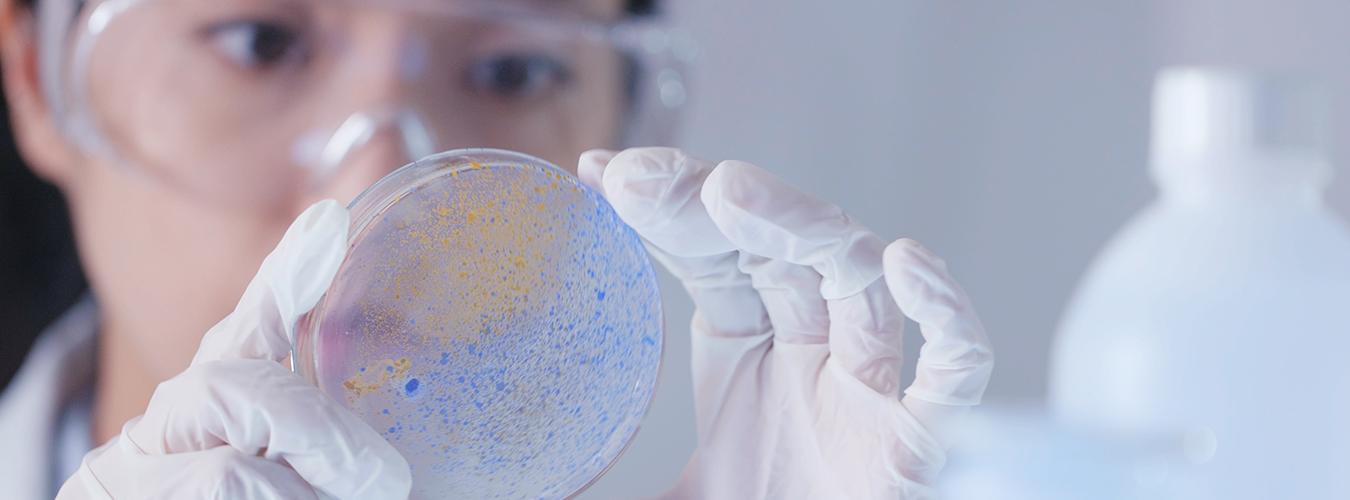 Female scientist examining a Petri dish