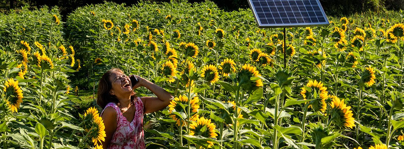 A joyful young woman talks on a mobile phone while standing in a vibrant field of sunflowers.