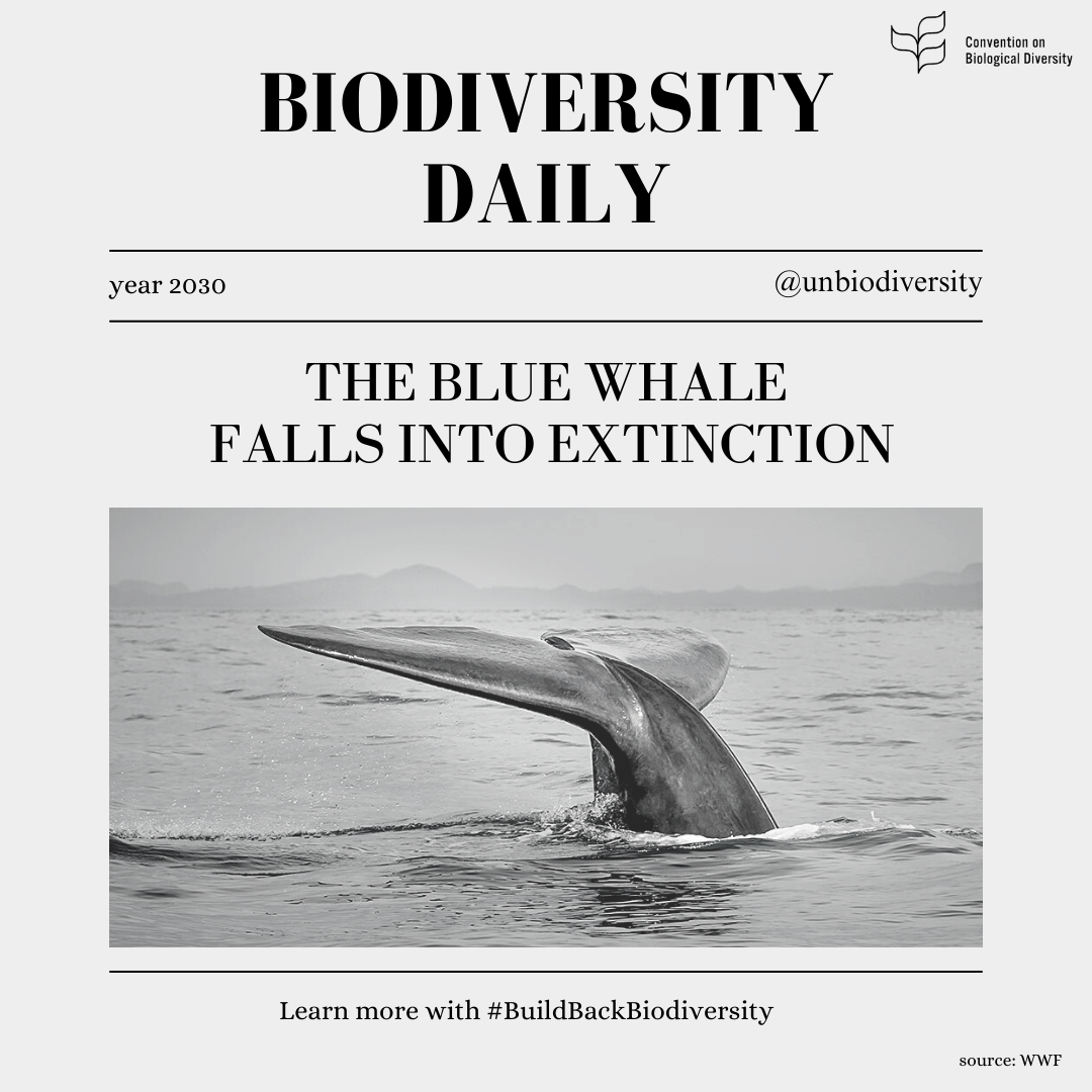 A mock newspaper front page from 2030 claiming blue whales were extinct