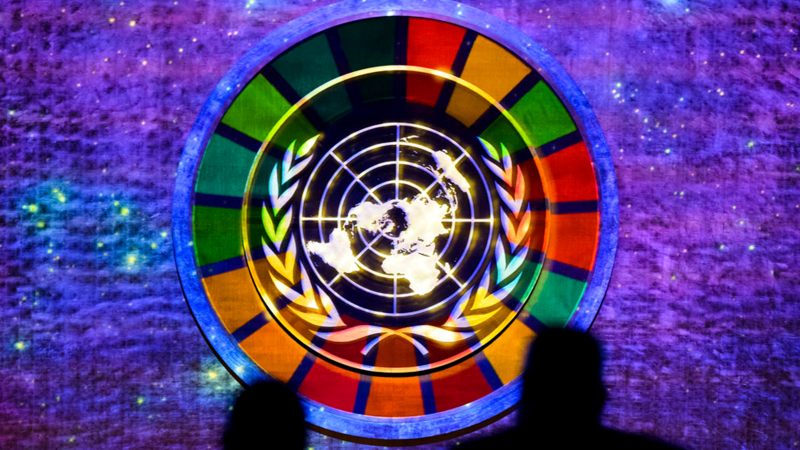 Two silhouettes in front of the SDG logo