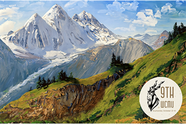 Drawing of mountains with glaciers.